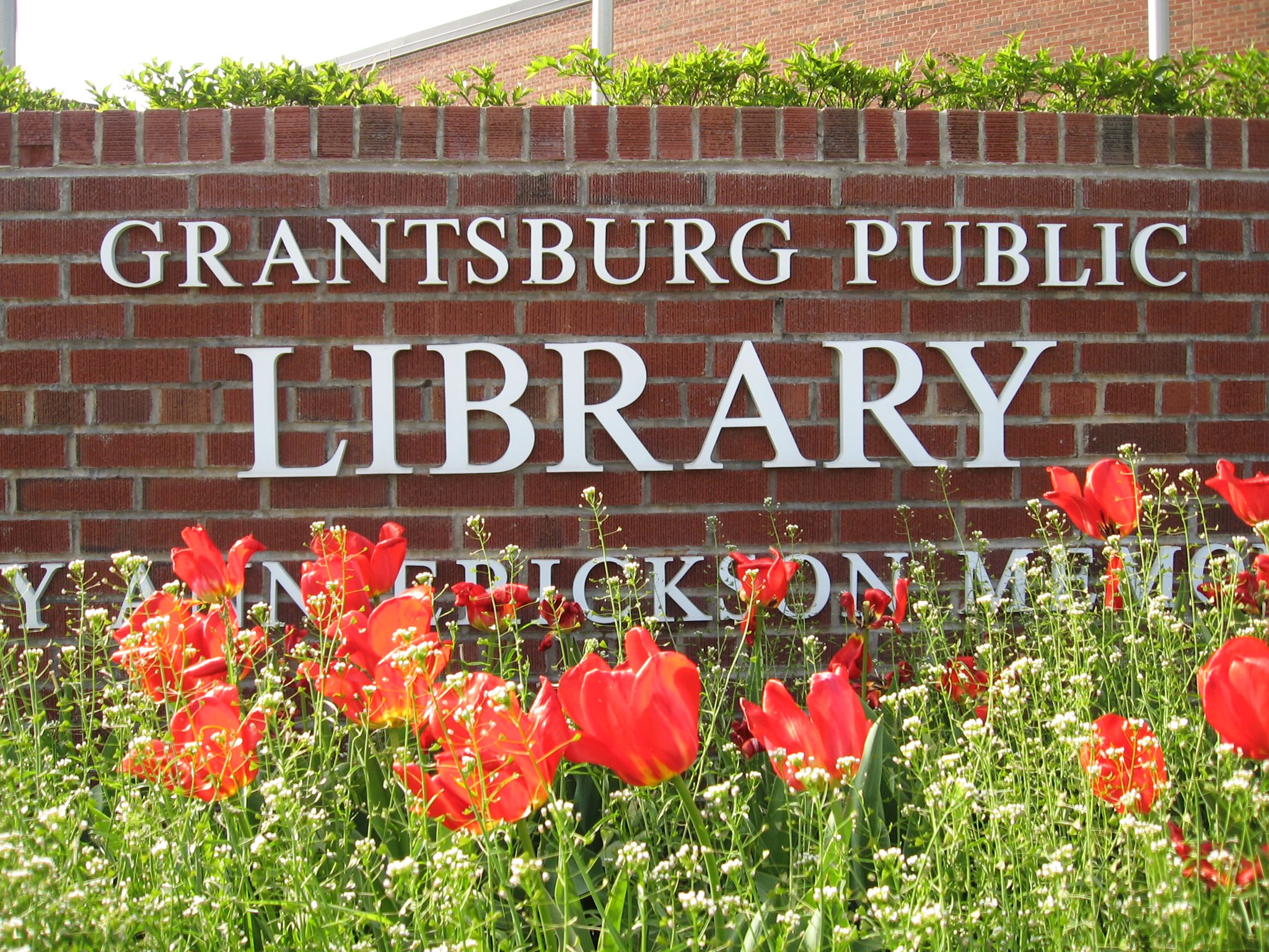 Early Literacy Extension County