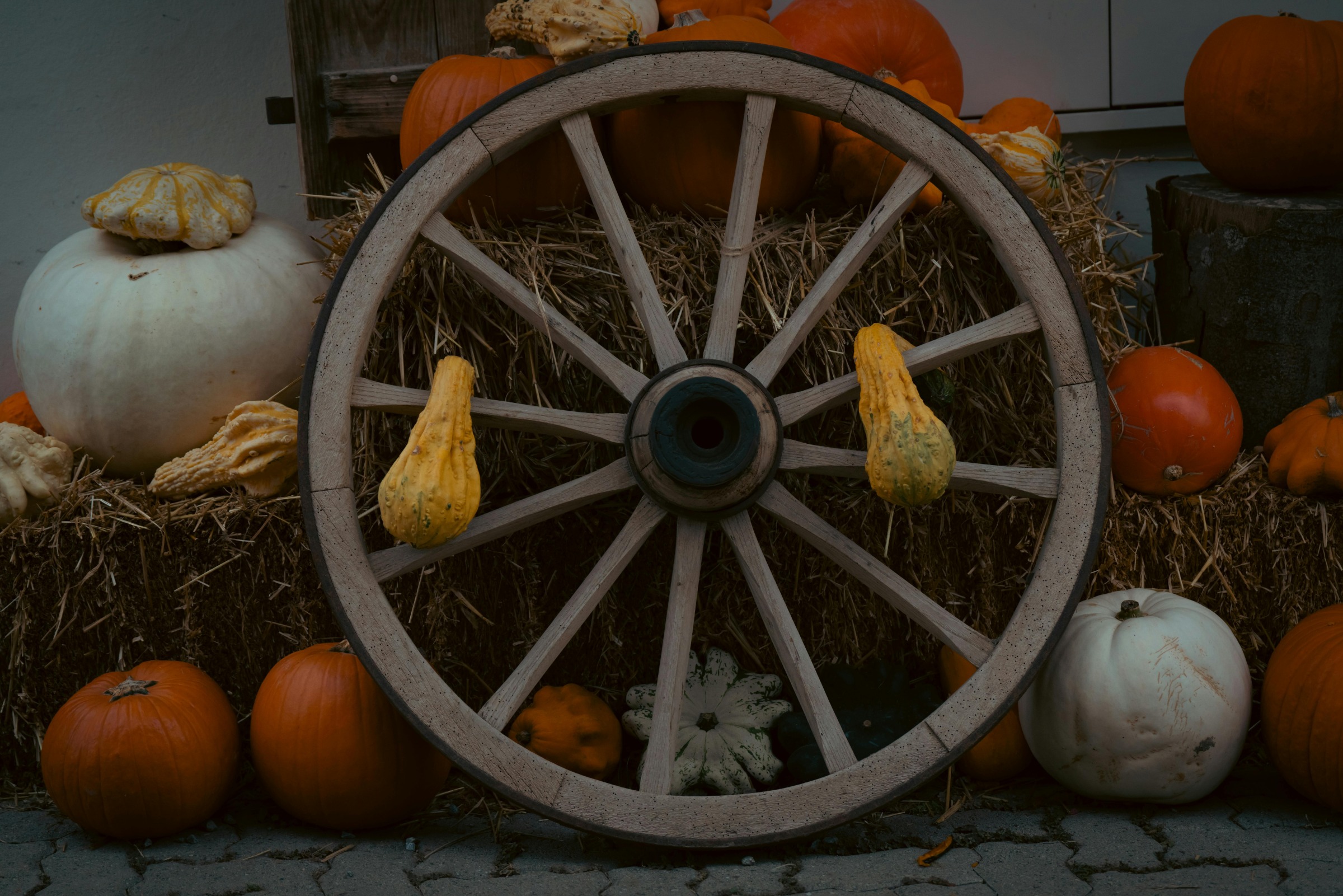 Wagon wheel with pumpkins and gourds